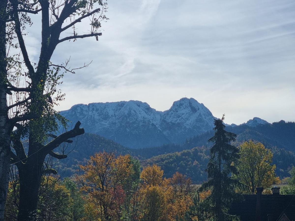 Karpielowka 77 Pokoje Goscinne Kościelisko Esterno foto