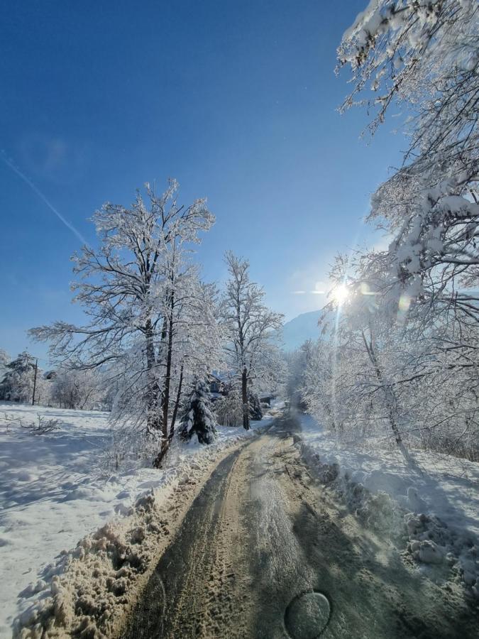Karpielowka 77 Pokoje Goscinne Kościelisko Esterno foto